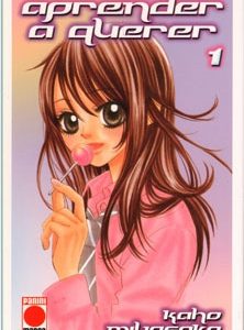 APRENDER A QUERER Nº 1 -PANINI- MANGA