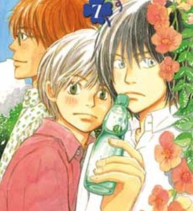 HONEY AND CLOVER Nº 7 -PANINI- MANGA