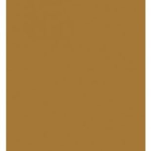 CARTULINA TAMAÑO A4 COLOR MARRON DE 180 GRM.