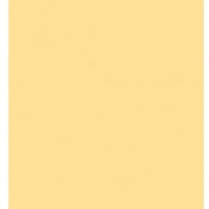 CARTULINA TAMAÑO A4 COLOR CREMA DE 180 GRM.