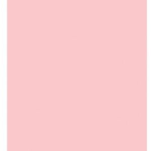 CARTULINA TAMAÑO A4 COLOR ROSA DE 180 GRM.