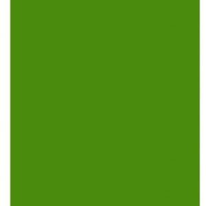 CARTULINA TAMAÑO A4 COLOR VERDE DE 180 GRM. PRECIO POR UNIDAD.