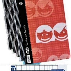 BLOC TAMAÑO FOLIO CUADROVIA DE 4MM DE LAMELA CON 80 HOJAS EN ESPIRAL