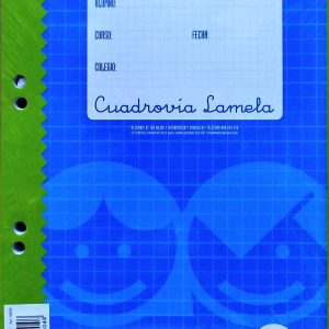 RECAMBIO CUADROVIA DE A5 4º DE 5MM CON 100 HOJAS DE 4 TALADROS DE LAMELA