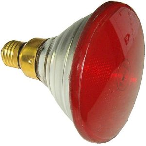 BOMBILLA DE 220V80W E27 PAR38 ROJA.