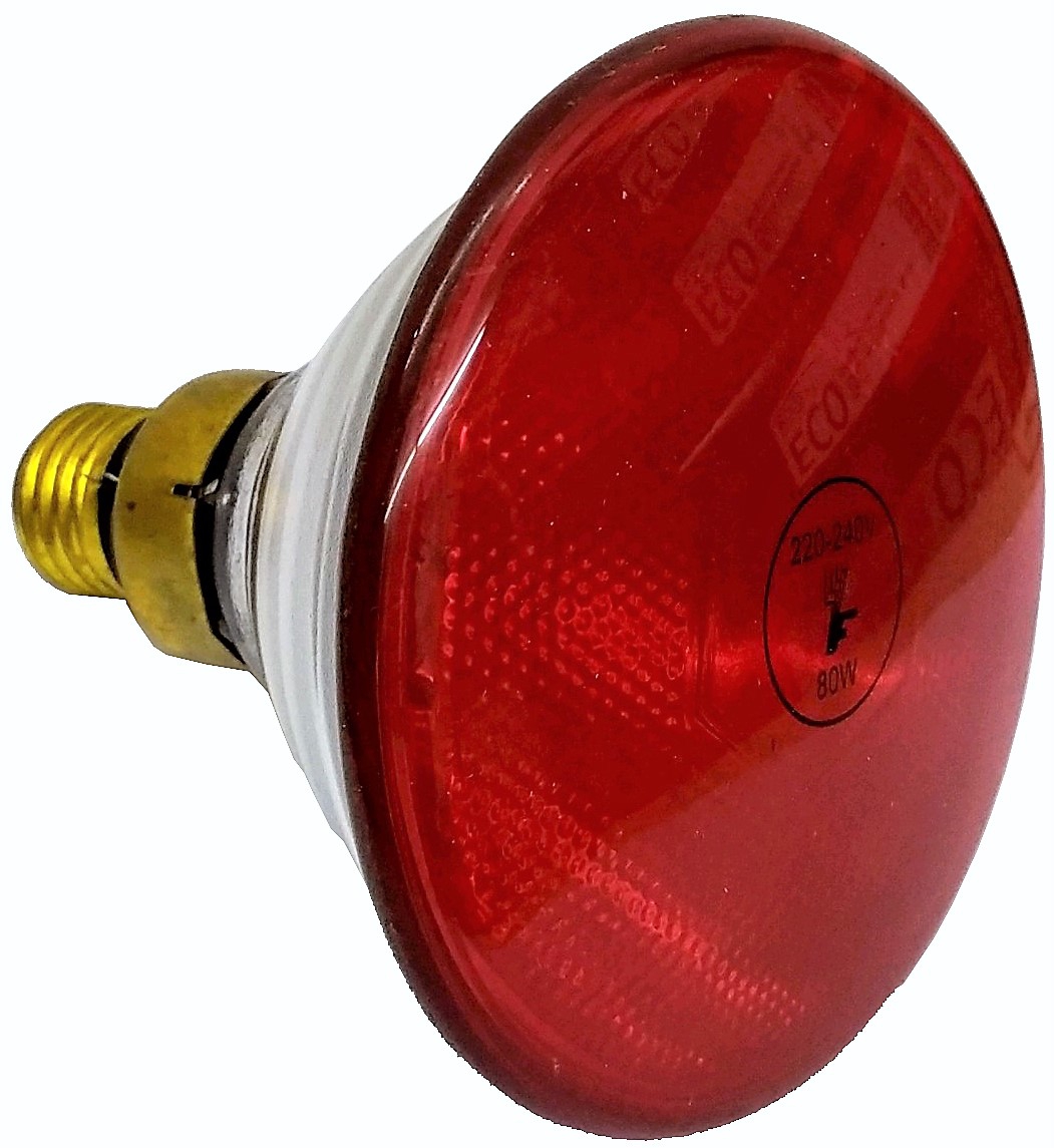 BOMBILLA DE 220V80W E27 PAR38 ROJA. - Imagen 4