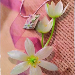 BOLSAS DE REGALO DE PLASTICO. MEDIDAS 38X32CM. CON ASA DE CUERDA.