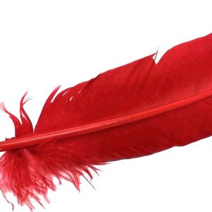 PLUMAS DE OCA DE 26CM DE COLORES SURTIDOS.