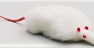 RATA LUCY DE 10CM. BROMAS Y CARNAVAL. 50845