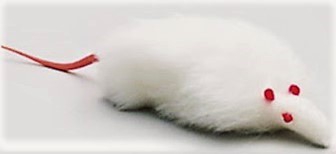 RATA LUCY DE 10CM. BROMAS Y CARNAVAL. 50845