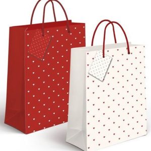 BOLSA PARA REGALO CON CORAZONES MEDIDAS 23X18X10CM. CON ETIQUETA Y CIERRE DE CORDON. DE DCASA 2185630.